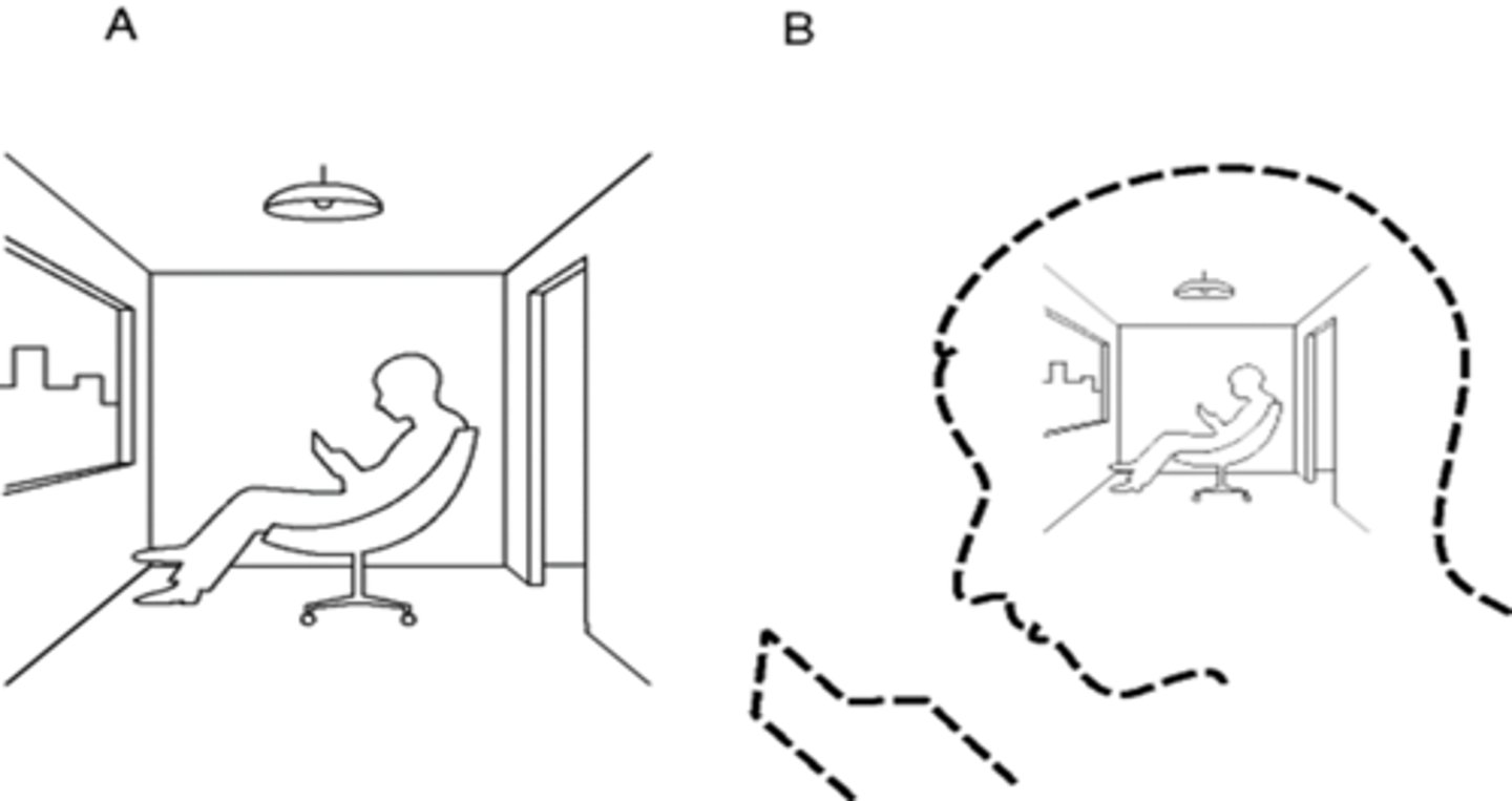 <p>•Analogical representation of meaning: The meaning of a concept is based on its parallel representations in the real/outside world and the semantic network within the mind.</p><p>•There is a one-to-one representation between an object in the world and the mental representation in the semantic network.</p><p>•In the context of an analogical representation,</p><p>•(a) visual mental imagery is like visual perception,</p><p>•(b) there is a parallel representation, and</p><p>•(c) there are implicit representations of relations between concepts.</p>
