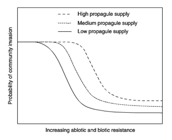 <p>Resistance is the native environment&apos;s ability to reject an invasion (a vertical line on a graph). The greater the resistance, the lower the chance of invasion (horiz S curve). Bigger propagule sizes are better at over coming defenses, so their S curve is shifted further right.</p>