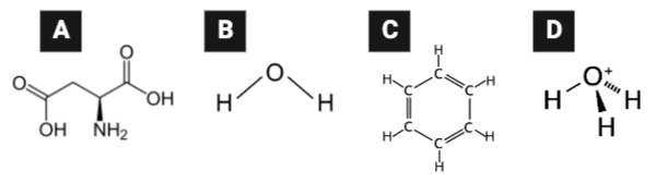 <p>Which series lists the molecules in order of their ability to diffuse through a phospholipid bilayer, from most likely to least likely?</p><ul><li><p><span>a. C, B, A, D</span></p><p></p></li><li><p><span>b. B, C, A, D</span></p><p></p></li><li><p><span>c. D, A, C, B</span></p><p></p></li><li><p><span>d. D, B, C, A</span></p></li></ul><p></p>
