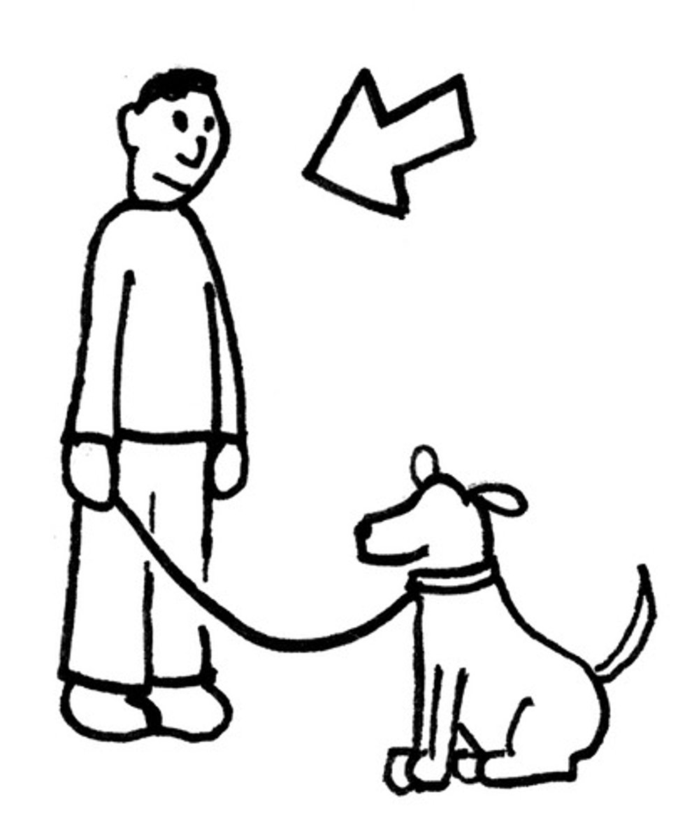 <p>owner</p>