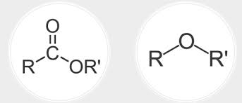 <p>Ethers have a carbon flanking an oxygen on either side while esters are a carbonyl group&nbsp;where the carbon is attached to another oxygen and that oxygen is attached to an R group</p><p></p>