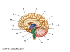 identify the image (6)