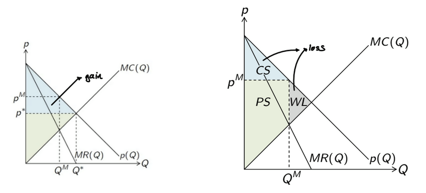 <ul><li><p>profit-maximizing quantity does not maximize total surplus</p></li><li><p>not all potential gains are realized</p></li><li><p>choosing profit-maximizing quantity → price above MC</p></li></ul><p></p>