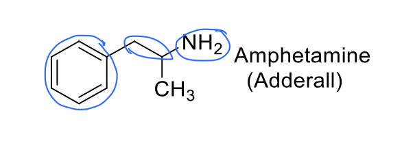 <p>promotes release of NE from synaptic vesicles</p><p>NOTE absence of OH groups</p><p>targets presynaptic storage vesicles</p>