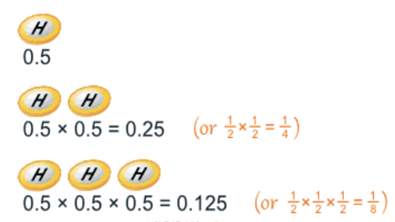 <p><span>Can be used to determine the outcome of genetic crosses</span></p>