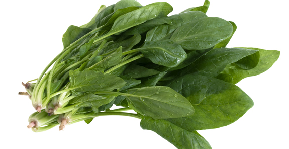 <p>espinaca</p>