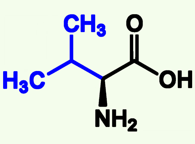 <p>Val (V)</p><p>Non- Polar</p><p>Alkyl Chains</p>