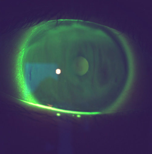 <p>What’s going on here?</p>