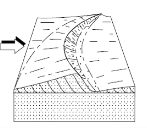 <p>What kind of ripples are these? What flow regimes do they form in?</p>