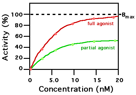 <p>will never reach full efficacy </p>