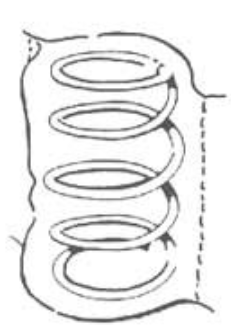 <p>Pocket</p>