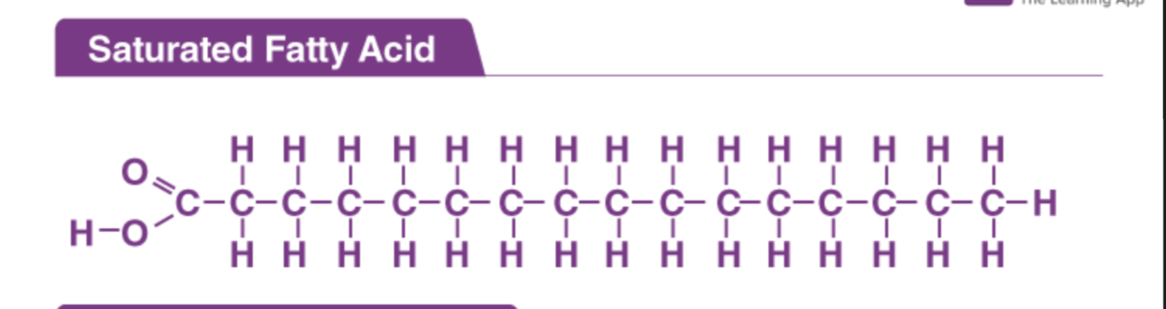 <p>No double bonds (tend to be solid)</p>