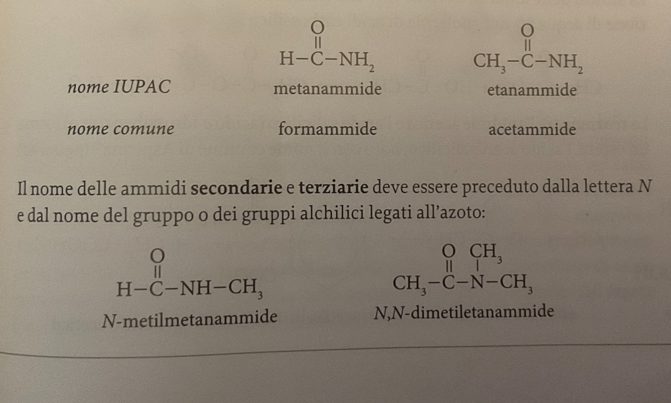 <p><span>Il nome delle ammidi primarie è costituito dalla radice del nome dell’acido corrispondente con il suffisso -ammide; quello delle secondarie e terziarie è preceduto dalla lettera N e dal nome del/dei gruppo/gruppi alchilici legati all’azoto.</span></p>