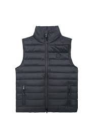 <p>a vest</p>