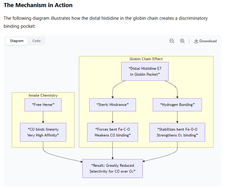 <p>This is an excellent example of how a protein structure fine-tunes the chemistry of its bound cofactor for a specific biological purpose.</p><p class="ds-markdown-paragraph">The globin chain decreases CO binding to hemoglobin through a mechanism known as <strong>steric hindrance and distal pocket engineering</strong>. While CO has an inherently high affinity for free heme (~25,000 times higher than O₂), the protein environment of hemoglobin reduces this advantage to only about <strong>200-250 times</strong> that of O₂. This is a crucial safety feature, as it prevents trace amounts of CO from completely incapacitating hemoglobin.</p><p class="ds-markdown-paragraph">Here’s a detailed, molecular-level explanation:</p><p>1. The Innate Problem: Heme's High Affinity for CO</p><ul><li><p class="ds-markdown-paragraph">In a free heme group (not in a protein), the iron atom has six coordination sites.</p></li><li><p class="ds-markdown-paragraph">Both O₂ and CO bind to the sixth coordination site.</p></li><li><p class="ds-markdown-paragraph">Due to its electronic structure, CO can form a very strong, linear bond (Fe–C≡O) with the iron, making it a much more potent ligand than the bent Fe–O–O bond of oxygen.</p></li></ul><p>2. The Globin Solution: Strategic Placement of a Distal Histidine</p><p class="ds-markdown-paragraph">The key player is a specific amino acid in the globin chain called the <strong>distal histidine</strong> (Histidine E7). It is located on the side of the heme plane where O₂ and CO must bind.</p><p class="ds-markdown-paragraph">This histidine serves two critical protective functions:</p><p>A. Steric Hindrance: Forcing a Suboptimal Bond Angle</p><ul><li><p class="ds-markdown-paragraph">The distal histidine side chain is positioned too close to the iron atom to allow for the thermodynamically favored <strong>linear Fe–C–O geometry</strong>.</p></li><li><p class="ds-markdown-paragraph">To bind, the CO molecule is <strong>forced to bend at an angle</strong>. This distorted geometry is energetically less favorable and <strong>weakens the bond</strong> between the iron and CO.</p></li></ul><p>B. Polar Stabilization of the Correct Ligand</p><ul><li><p class="ds-markdown-paragraph">The distal histidine also has a <strong>nitrogen-hydrogen (N–H) group</strong> in its imidazole ring.</p></li><li><p class="ds-markdown-paragraph">This N–H group can form a <strong>hydrogen bond with the bound oxygen molecule (O₂)</strong>. This hydrogen bond stabilizes the preferred, bent Fe–O–O geometry and strengthens the binding of O₂.</p></li><li><p class="ds-markdown-paragraph"><strong>Carbon monoxide (C≡O) cannot form this hydrogen bond effectively.</strong> Its oxygen atom is less basic and is part of a triple bond, making it a very poor hydrogen bond acceptor.</p></li></ul><p class="ds-markdown-paragraph">This creates a discriminatory environment: the protein pocket <strong>penalizes</strong> the preferred binding mode of CO while <strong>rewarding</strong> the preferred binding mode of O₂.</p><p>The Mechanism in Action</p><p class="ds-markdown-paragraph">The following diagram illustrates how the distal histidine in the globin chain creates a discriminatory binding pocket:</p><p>Comparison to Myoglobin</p><ul><li><p class="ds-markdown-paragraph">This same mechanism operates in <strong>myoglobin</strong>. However, because myoglobin's sole function is oxygen <em>storage</em>, it needs to bind O₂ very tightly all the time. The steric hindrance in myoglobin is even slightly more effective, reducing CO's relative affinity compared to hemoglobin.</p></li><li><p class="ds-markdown-paragraph">In <strong>hemoglobin</strong>, this discrimination is part of a larger, cooperative mechanism. When hemoglobin is in its <strong>low-affinity T-state</strong>, the steric constraints on the heme pocket are even greater, further reducing CO binding in the tissues where oxygen needs to be released.</p></li></ul><p>Why This Matters Biologically</p><p class="ds-markdown-paragraph">If hemoglobin bound CO with the same affinity as free heme does (~25,000x that of O₂), even minuscule amounts of CO in the air would be instantly fatal. The structural adaptation of the globin chain reduces this threat, making life possible in an environment where trace amounts of CO are naturally occurring.</p><p class="ds-markdown-paragraph">In summary, the <strong>globin chain uses the strategic placement of a distal histidine residue to sterically hinder CO's preferred linear binding geometry and to hydrogen-bond with O₂, thereby dramatically decreasing the relative affinity of hemoglobin for carbon monoxide compared to oxygen.</strong></p><p><br></p>
