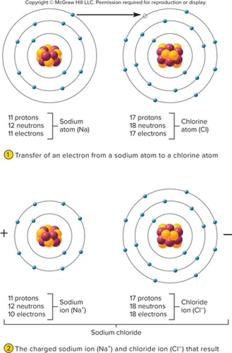 <p>Sodium and chloride ions bond to form sodium chloride.</p>