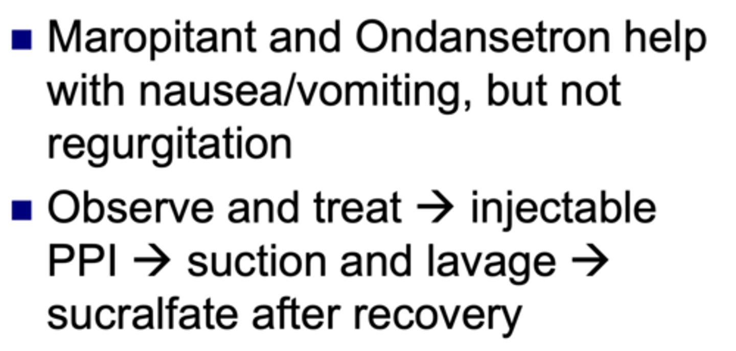 <p>due to increased gastric acid and decreased lower esophageal tone, C-section dogs are prone to what</p>