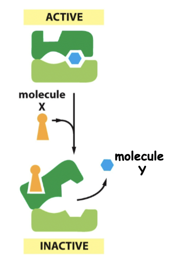 X change's Y's binding site. Active to inactive. They don't want the same thing.