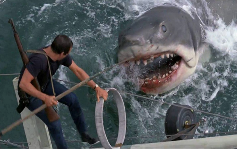 <p>The shark is a threat to everybody on Amity island</p>