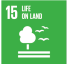 <p>SUSTAINABLE DEVELOPMENT GOALS 15</p>