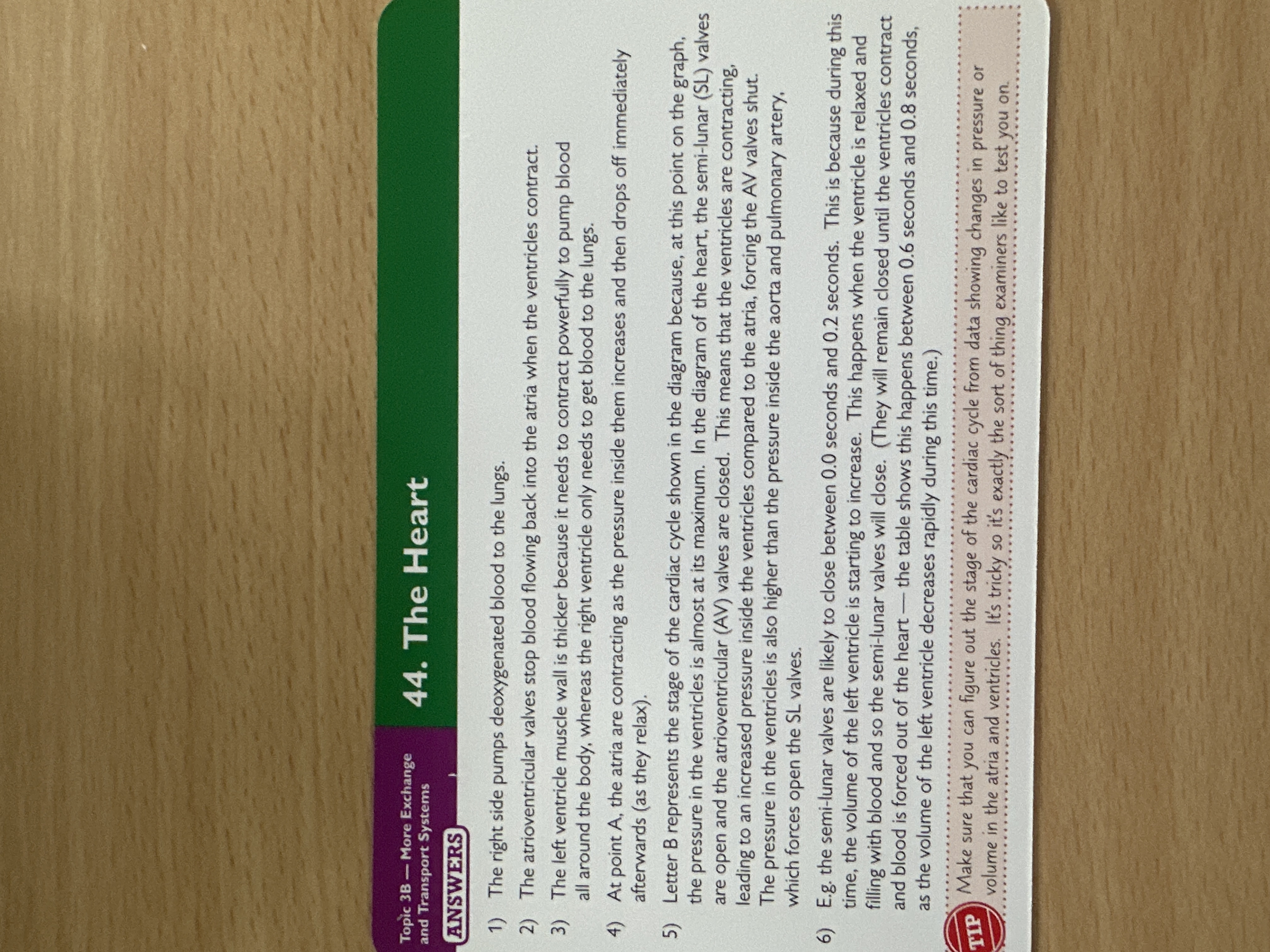 knowt flashcard image