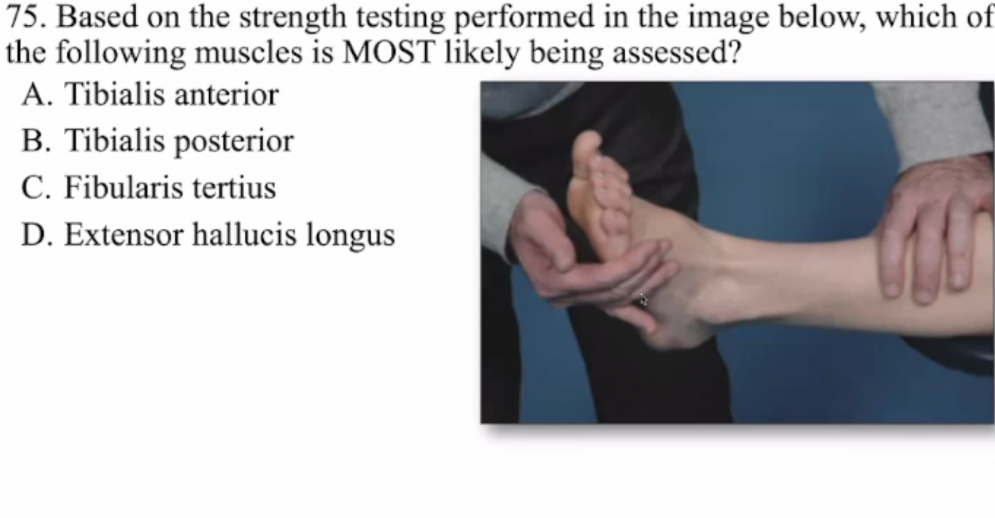 term image