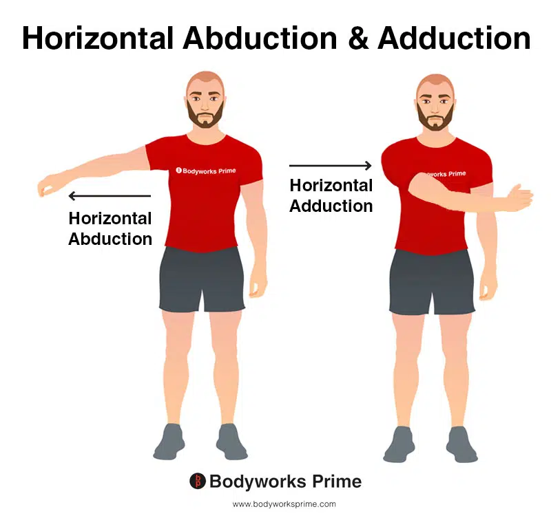 <p><span>horizontal abduction</span></p>