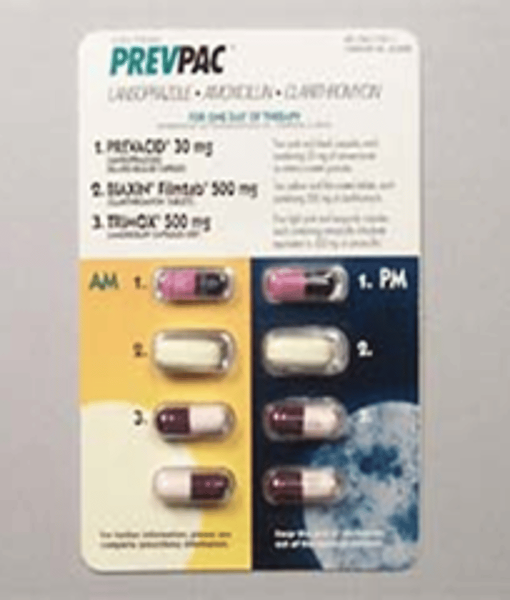 <p>triple therapy: <br>1. Clarithromycin<br>2. Amoxicillin<br>3. PPI<br><br>example= PrevPac: lansoprazole + amoxicillin + clarithromycin</p>