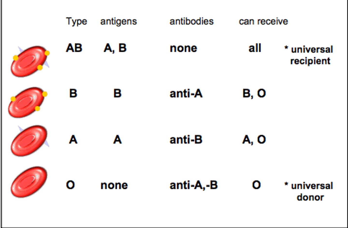 <p>*a classification of blood that depends on the type of antigen present on the surface of the red blood cell; A, B, AB, or O<br>*A, B, AB and O. Type O is the universal donor and AB blood is known as the universal recipient.</p>