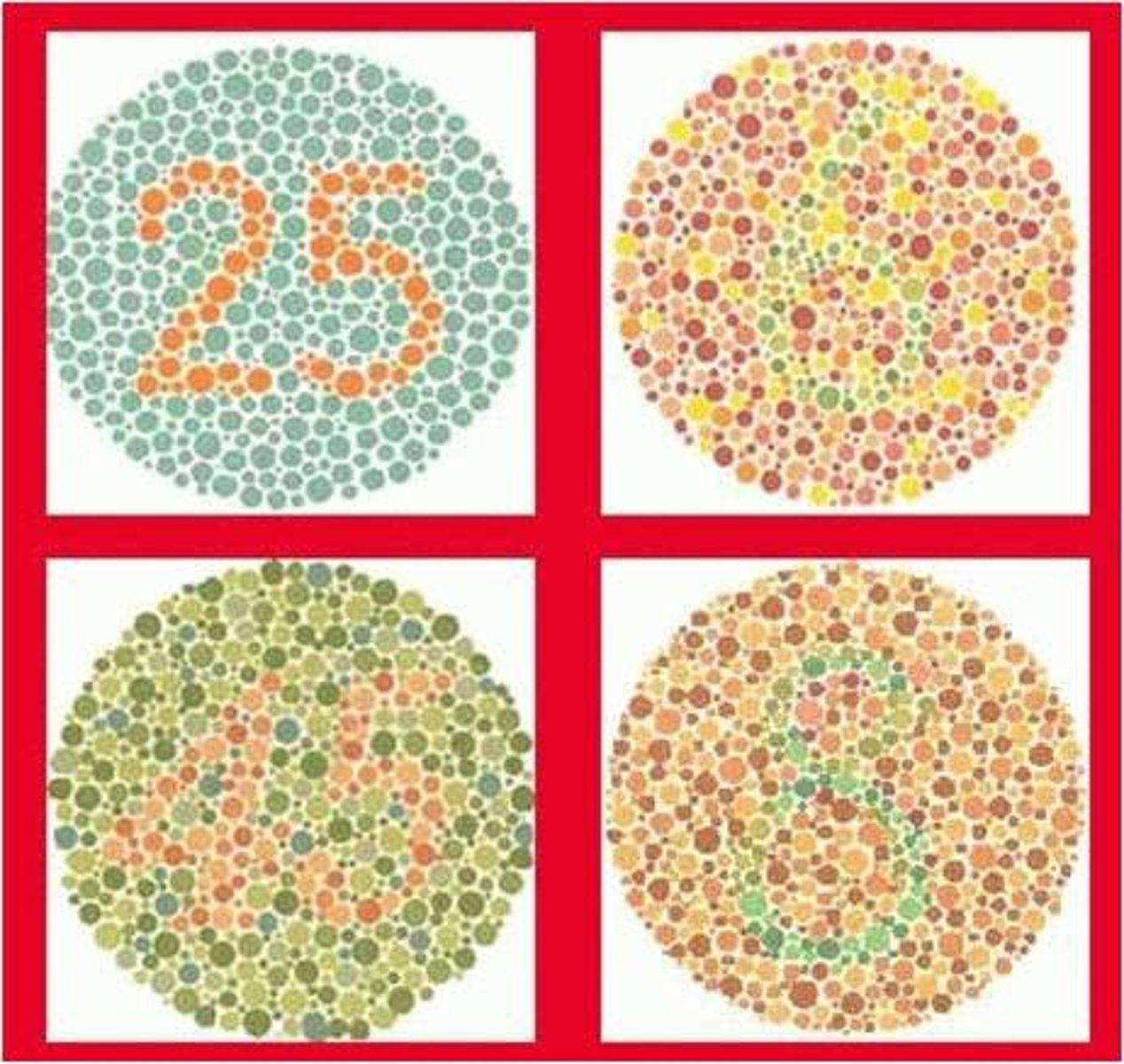 <p>when a person can see some colors (not all)</p>