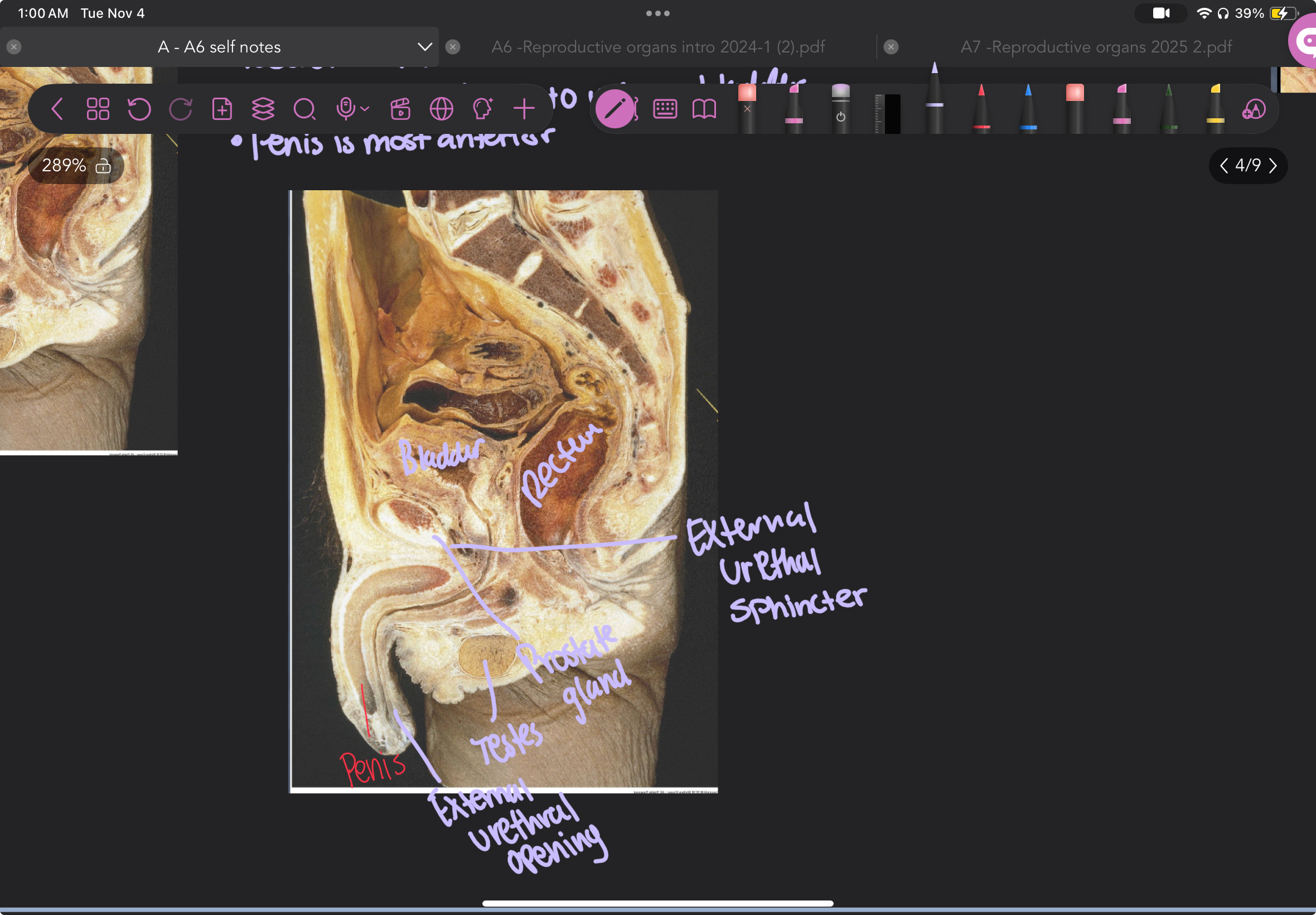 knowt flashcard image