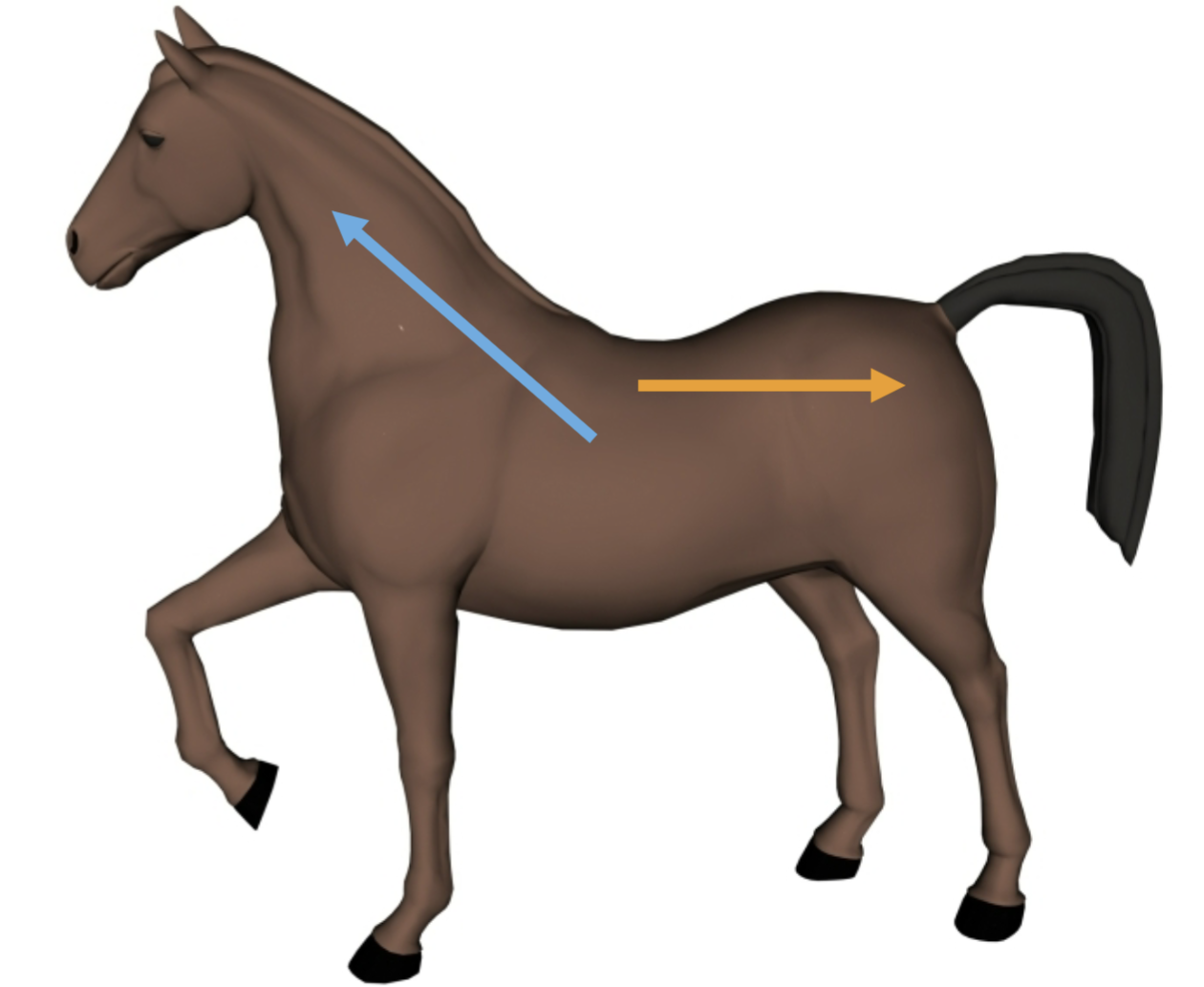 <p>What direction is the orange arrow pointing?</p>
