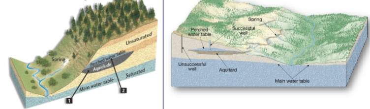 <p>localized zone of saturation above he main water table created by an underlying layer of impermeable material</p>