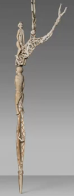 <p>What are bis poles?</p>