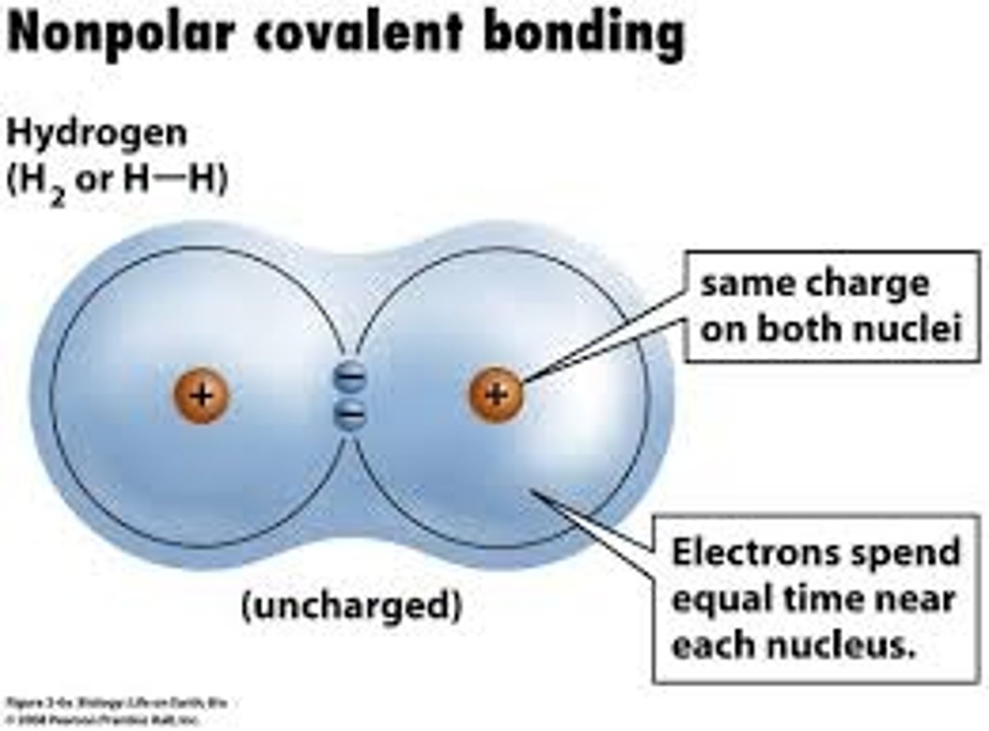 <p>a.) all bonds non-polar covalent</p><p>b.) polar covalent bonds are arranged in a way that no opposite charges exist on the opposite ends</p>