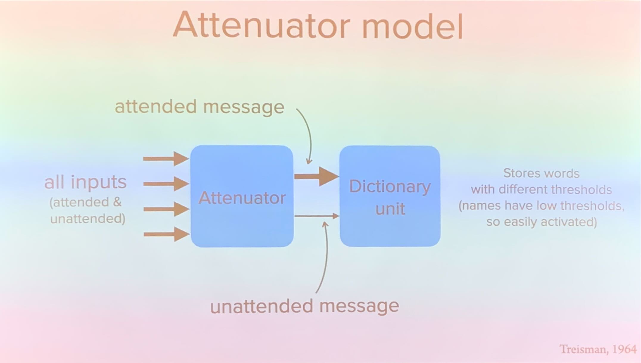 <p>once the attended and unattended mes-sages have been identified, both messages pass through the attenuator, but the attended message emerges at full strength and the unattended messages are attenuated—they are still present but are weaker than the attended message. Because at least some of the unattended message gets through the attenuator, Treisman’s model has been called a “leaky filter” model.</p>