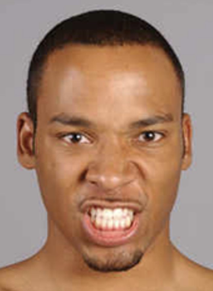 <p>inferioris are muscles involved in facial expressions, with the levator labii superioris elevating the upper lip and the depressor labii inferioris lowering the lower lip, affecting overall mouth position. </p>