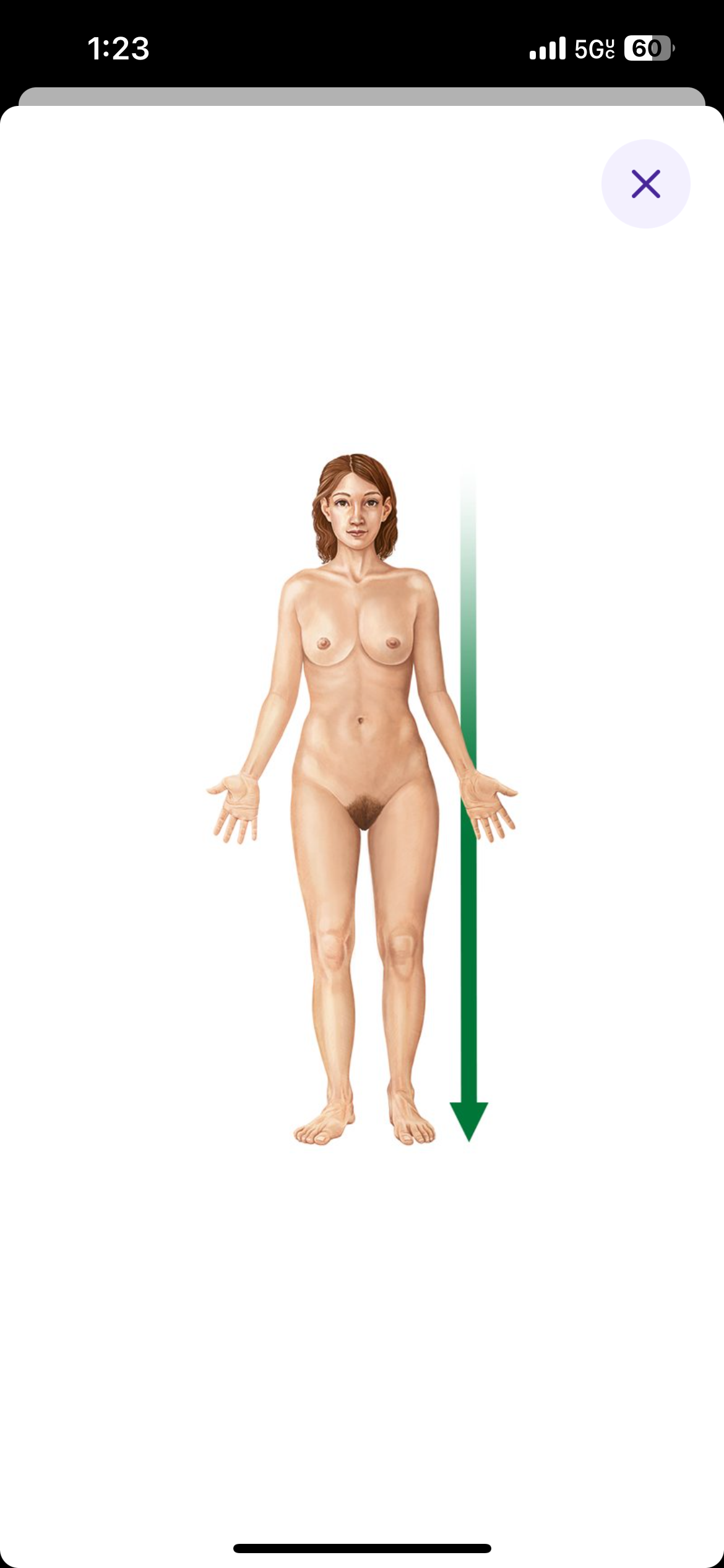 <p>Below or towards the lower part of the body</p>