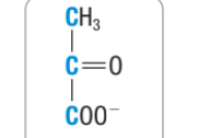 <p>What molecule is this?</p>