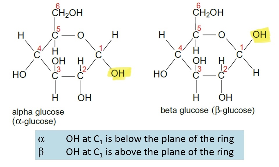 <ul><li><p>Alpha-glucose: OH at C1 is below the plane of the ring</p></li><li><p>Beta-glucose: OH at C1 is above the plane of the ring</p></li></ul><p></p>