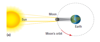 <p>When the Moon is aligned between Earth and the Sun, it blocks the Sun from being observed from Earth.</p>