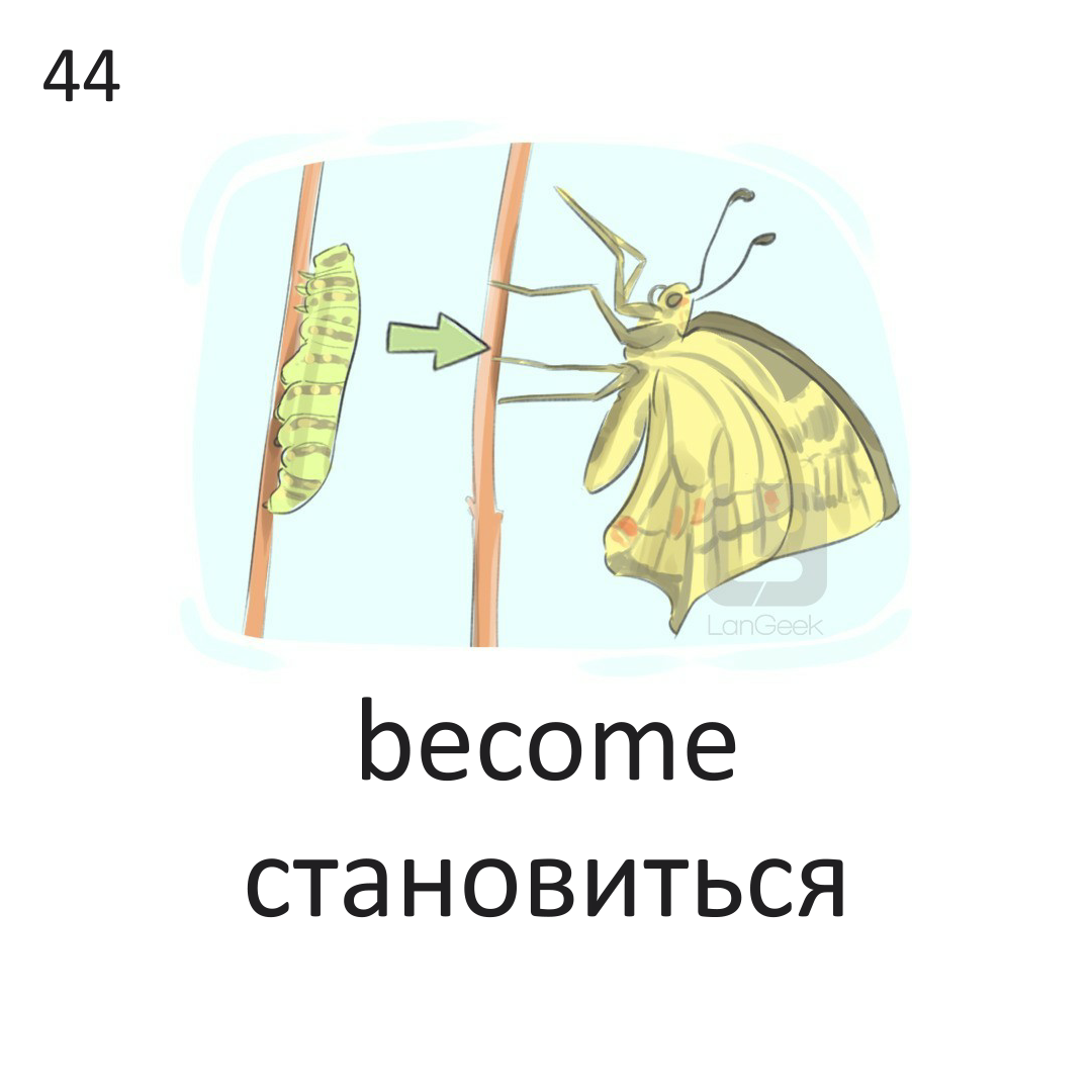 <p>become</p>