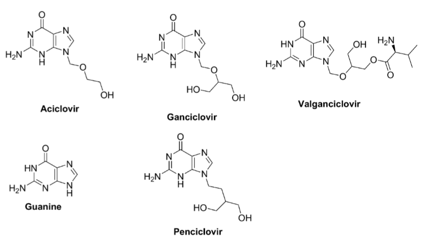 <p>acyclovir, penciclovir, ganciclovir</p>