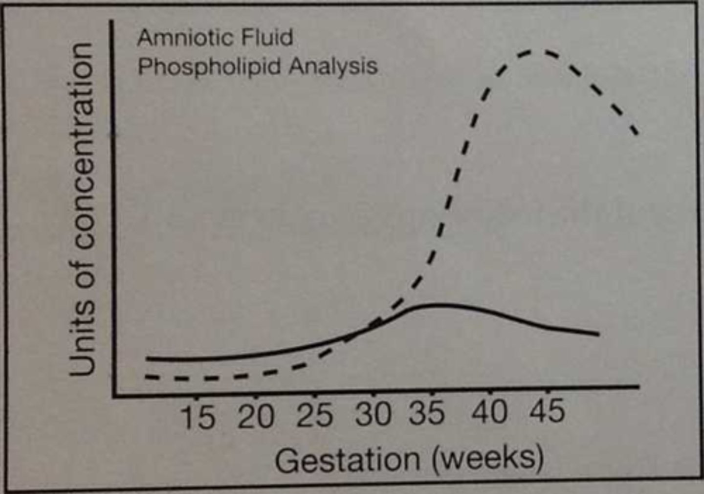 <p>b pulmonary</p>