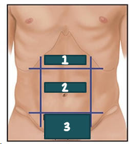 <p>Hypogastric?</p>