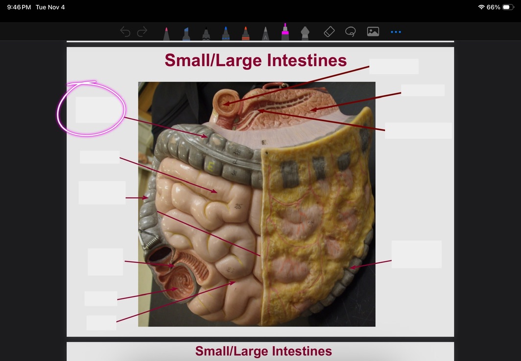 <p>What is this?</p>