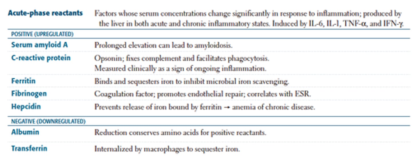 <p>form of natural immunity in which the levels of soluble proteins and other cells increase rapidly in response to the presence of an infectious agent</p>