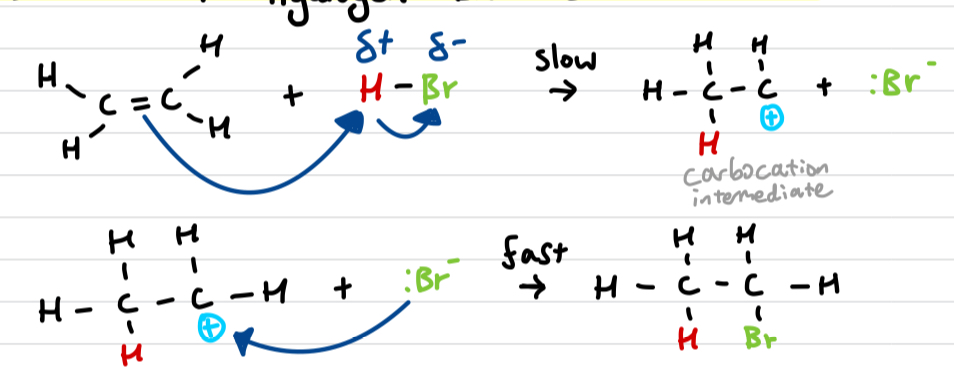 <p>similar to ethene + bromine mechanism</p>