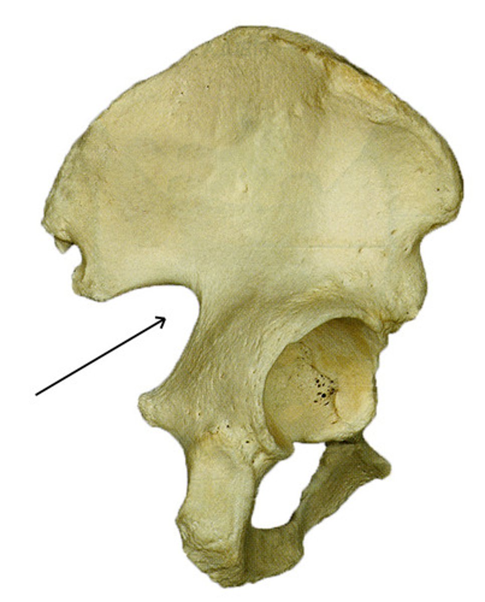 <p>identify</p>