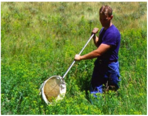 <ul><li><p>quantitative method </p></li><li><p>aerial inverts (dragonflies, mayflies, stoneflies)</p></li><li><p>mesh size determines inverts retained</p></li></ul><p></p>